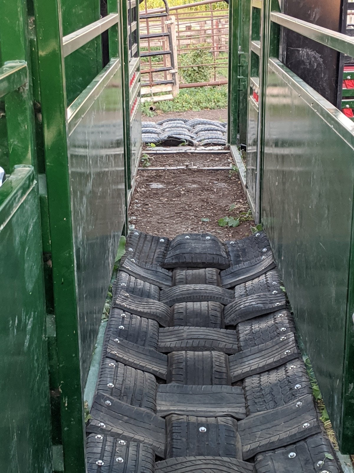 cattle mat in use