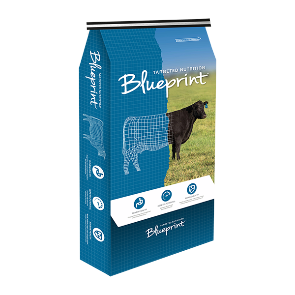 Blueprint® Cow Calf 5 - 50lb. Bag