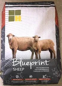 Blueprint® 18% Sheep & Goat Starter - 50lb. Bag